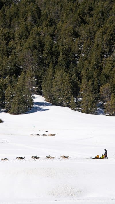 Andorra: Ruta guiada en mushing de 5km en Grau Roig 96€ Reservar
